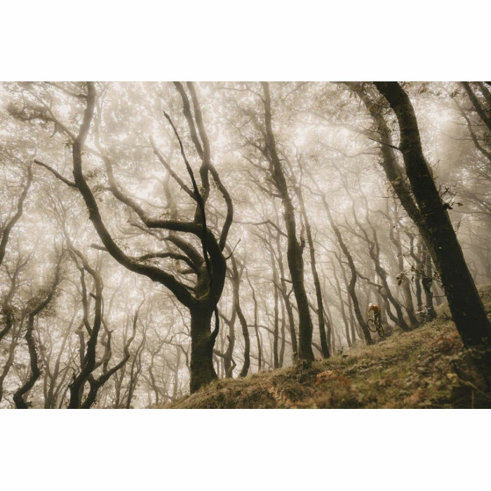 Goodyear Newton Enduro Tubeless Rear MTB Tyre Black 2.4" 29 9 Goodyear Newton Enduro Tubeless Rear MTB Tyre Black 2.4" 29 - Billede 7