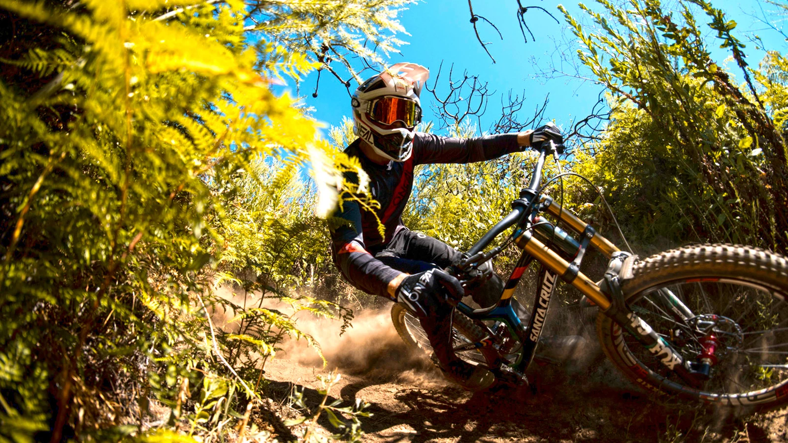 Maxxis Salg -Maxxis Salg K5sd7qsSAUAFBUVqECra5i